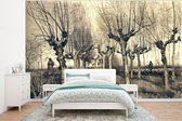 Papier Peint - Papier Papier peint photo Pollard - Vincent van Gogh - Largeur 295 cm x Hauteur 220 cm