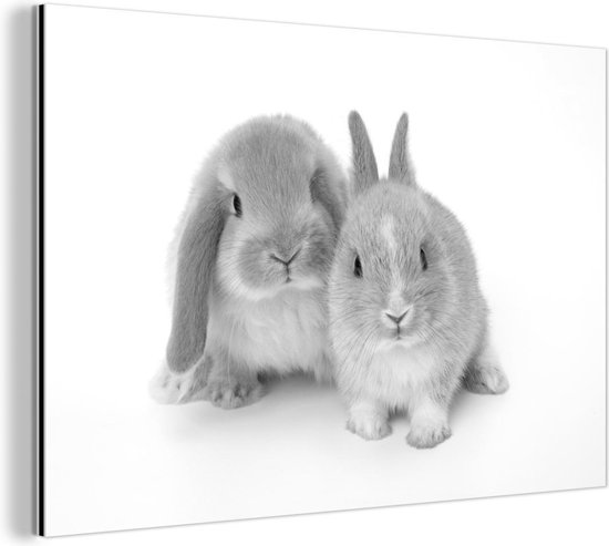 Wanddecoratie Metaal - Aluminium Schilderij Industrieel - Twee konijnen - zwart wit - 150x100 cm - Dibond - Foto op aluminium - Industriële muurdecoratie - Voor de woonkamer/slaapkamer