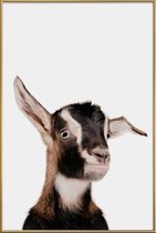JUNIQE - Poster met kunststof lijst Goat -20x30 /Bruin & Wit