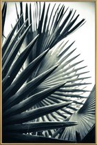 JUNIQE - Poster met kunststof lijst Palm Shade 2 -40x60 /Grijs & Groen