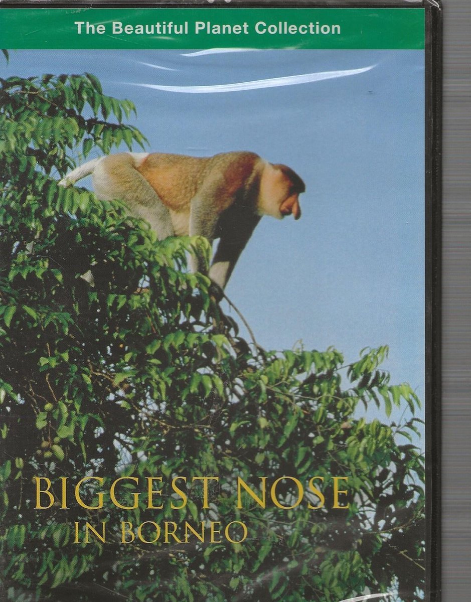 BIGGEST NOSE IN BORNEO