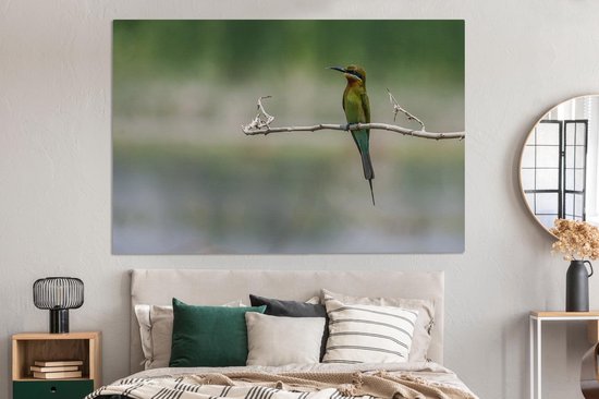 Tableau sur toile Le guêpier nain est assis sur une branche - 150x100 cm - Décoration murale