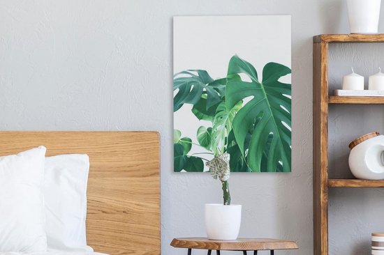 Peintures sur toile - Énormes feuilles botaniques de la plante trouée - 30x40 cm - Décoration murale