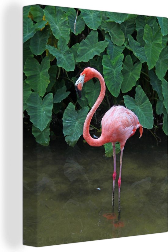 Canvas Schilderij Een flamingo staat in het ondiepe water - 30x40 cm - Wanddecoratie