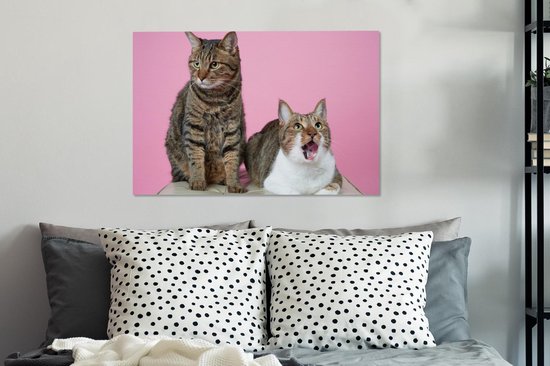 Deux chats devant fond rose Toile 60x40 cm - Tirage photo sur toile (Décoration murale salon / chambre) / Peintures sur toile animaux