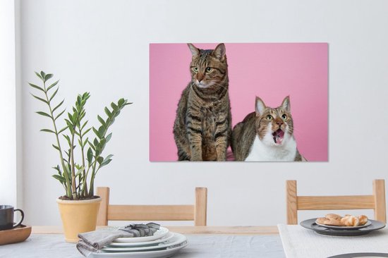 Deux chats devant fond rose Toile 60x40 cm - Tirage photo sur toile (Décoration murale salon / chambre) / Peintures sur toile animaux