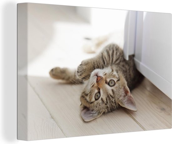 Toile de chaton jouant 80x60 cm - Tirage photo sur toile (Décoration murale salon / chambre) / Peintures sur toile Animaux