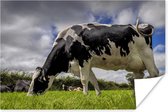 Een Friese koe met donkere wolken boven zich Poster 30x20 cm - klein - Foto print op Poster (wanddecoratie woonkamer / slaapkamer) / Boerderijdieren Poster