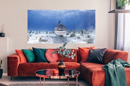 Affiche - Requin nageur - 160x80 cm