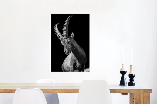 Poster Photo Chèvre Zwart 40x60 cm - Tirage Photo sur Poster (décoration murale salon / chambre) / Poster Animaux