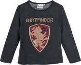 Harry Potter - chemise à manches longues - filles - Gryffondor - 100% coton Jersey - gris - taille 122/128