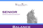 Equi-Xcel - Balancer - Senior - 10kg