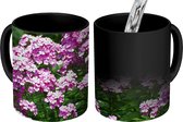 Magische Mok - Foto op Warmte Mok - Tuin vol roze vlambloemen - 350 ML