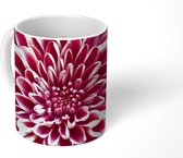 Mok - Chrysant close-up - 350 ML - Beker