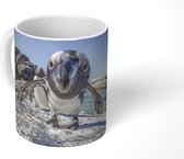 Mok - Close-up van een Pinguïn op Boulders Beach - 350 ML - Beker