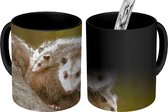 Magische Mok - Foto op Warmte Mokken - Koffiemok - Virginiaanse opossum met jongen - Magic Mok - Beker - 350 ML - Theemok