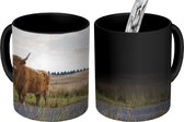 Magische Mok - Foto op Warmte Mok - Schotse Hooglander - Koe - Herfst - 350 ML