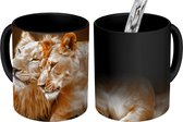 Magische Mok - Foto op Warmte Mok - Leeuwen - Bruin - Dieren - 350 ML