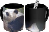 Magische Mok - Foto op Warmte Mokken - Koffiemok - Panda - Dier - Boom - Magic Mok - Beker - 350 ML - Theemok