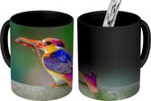 Magische Mok - Foto op Warmte Mokken - Koffiemok - IJsvogel - Salamander - Tak - Magic Mok - Beker - 350 ML - Theemok