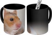 Magische Mok - Foto op Warmte Mokken - Koffiemok - Starende hamster - Magic Mok - Beker - 350 ML - Theemok