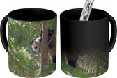 Magische Mok - Foto op Warmte Mokken - Koffiemok - Panda - Boom - Bladeren - Magic Mok - Beker - 350 ML - Theemok