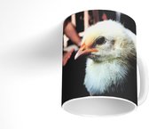 Mok -  kuikens - 350 ML - Beker