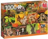 legpuzzel Herfst 1000 stukjes