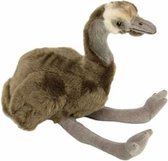 knuffelstruisvogel Baby Australia pluche