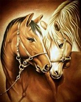 Diamond Painting Pakket - Twee Paarden - 40x30 cm - Complete Set - Volledige Bedekking - Ronde Steentjes
