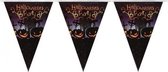 Halloween - Vlaggenlijn/slinger Halloween Party met pompoenen 250 cm - Halloween feest versiering/decoratie - Horror griezel feestje