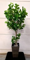 M.T.C © Kunstplant  H175 x 50  kleinbladerige Ficus Lyrata Boom stam