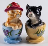 Originele peper en zoutstel Tea Cup Kittens