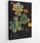 Onlinecanvas - Schilderij - Hoge Hoek Groenbladige Plant Art Verticaal Vertical - Multicolor - 80 X 60 Cm