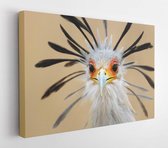 Onlinecanvas - Schilderij - Portret Een Secretarisvogel Boogschutter Serpentarius Art Horizontaal Horizontal - Multicolor - 115 X 75 Cm