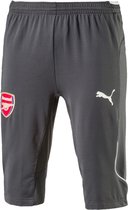 Puma AFC 3/4 Training Pants Trainingsbroek Mannen grijs 44/46