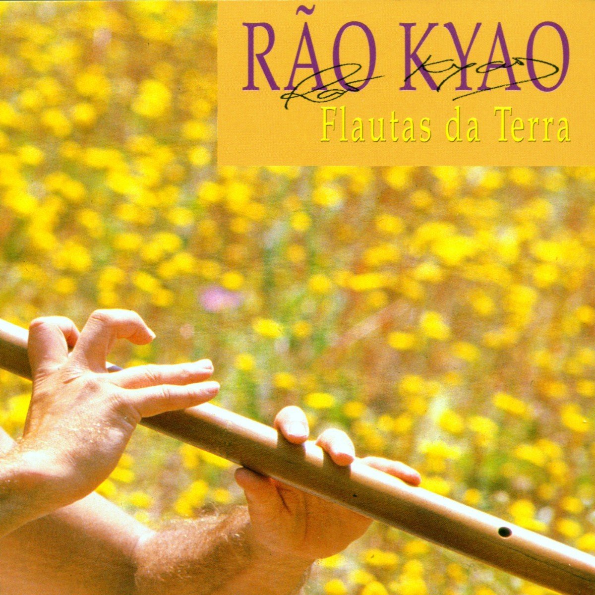 Rão Kyao - Flautas Da Terra (CD)