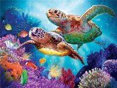 Diamond Painting Pakket - Zeeschildpadden - 40x30 cm - Complete Set - Volledige Bedekking - Vierkante Steentjes