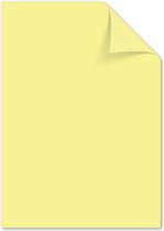 Kangaro papier - A4 - 120 gram FSC -  pak 100 vel - pastel geel - K-0043P002