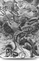 Maison de France - Canvas Reptielen van haeckel /zwartwit - canvas - 120 x 180 cm