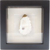 Oester met parel in exclusieve lijst - 16x16 cm