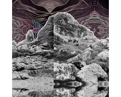 Dying Surfer Meets His Maker (LP)