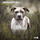 American Pit Bull - Kalender 2022