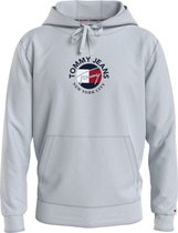 Hooded Sweater Grijs (DM0DM11628 - P01)