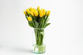 Tulpen 50 stuks geel, voorjaarsbloemen, snijbloem, boeket, gratis thuis bezorgt