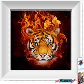 Artstudioclub™  Diamond painting volwassenen 25*25cm  tijger