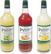 Bigallet Suikervrij siroop voordeelpakket Grapefruit, Citroen & Limoen - 3 x 100 cl