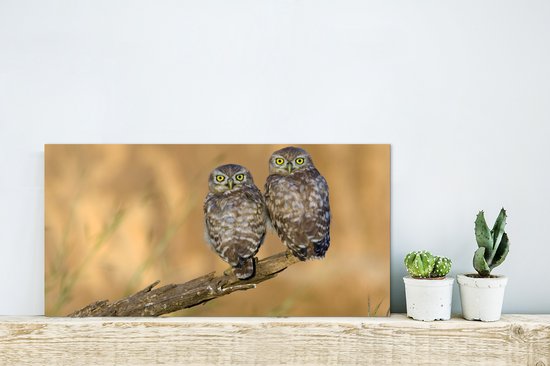 Décoration murale Métal - Peinture Aluminium Industrielle - Couple de hiboux - 40x20 cm - Dibond - Photo sur aluminium - Décoration murale industrielle - Pour le salon / chambre