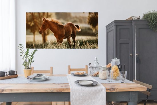 Affiche Cheval - Lumière - Prairie - 160x80 cm