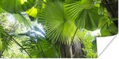 Affiche Forêt tropicale humide - 160x80 cm